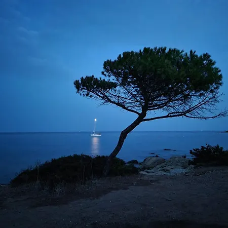 Corallo Vacanze Apartmán *