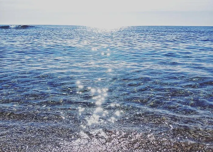 Corallo Vacanze